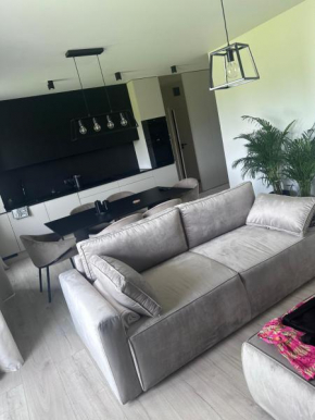 Komfortowy Apartment z jedną sypialnia 60m kw Lokalizacja Poznań Baranowo